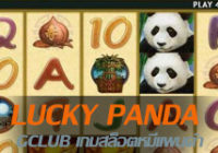 lucky panda สล็อตหมีแพนด้า Gclub slot
